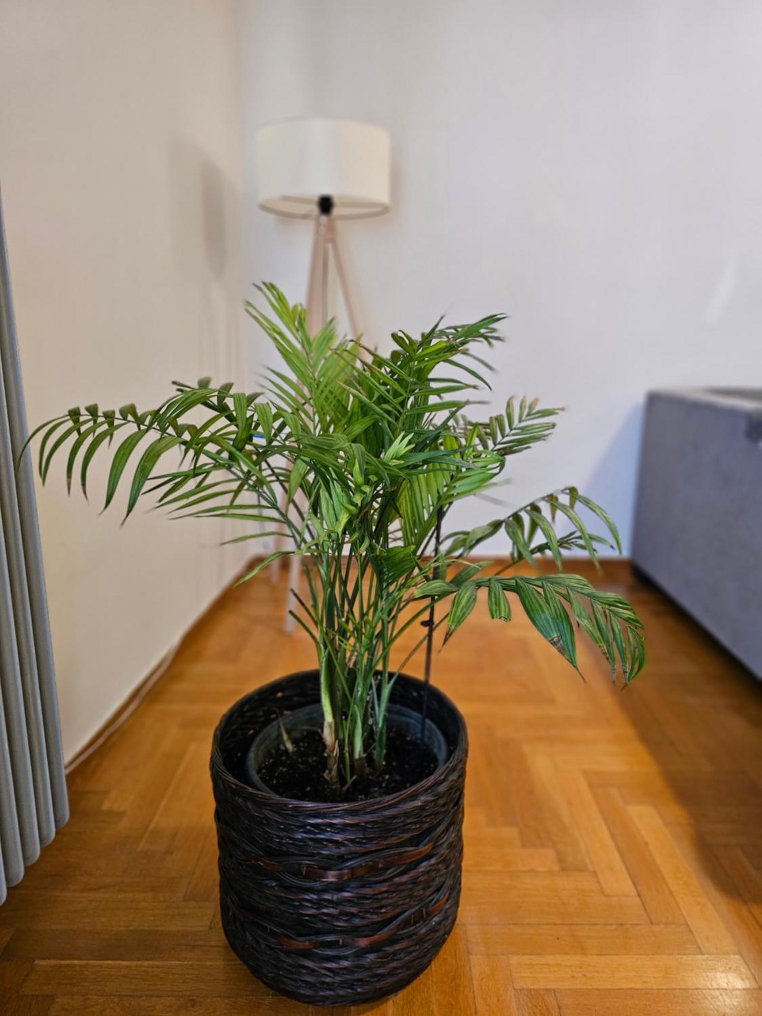 Cosy Apartment In The Heart Of The City Kalamata Zewnętrze zdjęcie